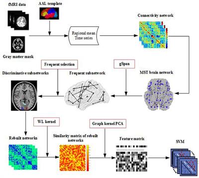 Classification of Alzheimer's Disease, Mild Cognitive Impairment, and Normal Controls With Subnetwork Selection and Graph Kernel Principal Component Analysis Based on Minimum Spanning Tree Brain Functional Network